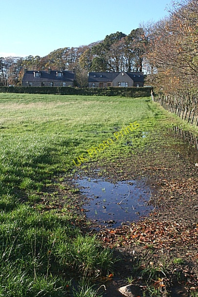 Photo 6"x4" Cottages at Dipple Crofts of Dipple c2009