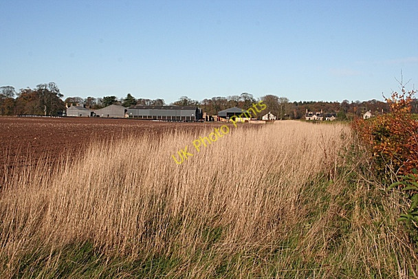 Photo 6"x4" Dipple Farm Crofts of Dipple c2009 P1