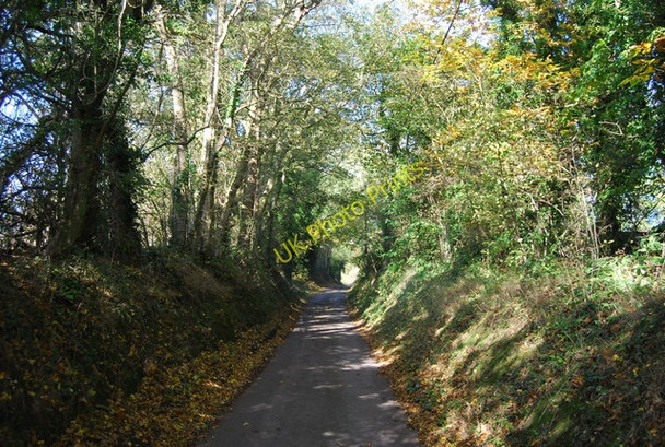 Photo 6"x4" Stan Lane climbing the Greensand escarpment West Peckham c2009