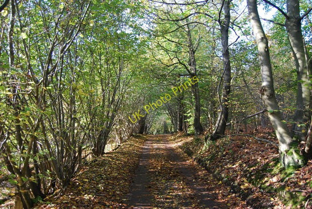 Photo 6"x4" Swanton Rd Gover Hill c2009