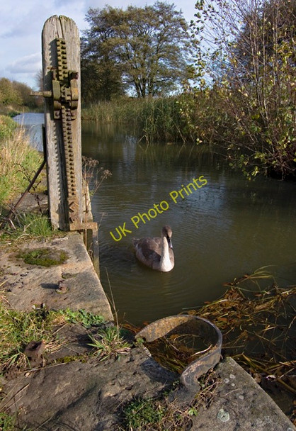 Photo 6"x4" Pocklington Canal - Sandhill Lock Allerthorpe c2009