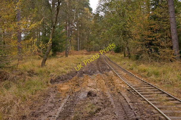 Photo 6"x4" Warwickslade Cutting: repositioned railway North Weirs c2009