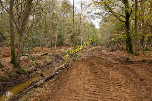 Photo 6"x4" Warwickslade Cutting: end of the line so far Bank\/SU2807 c2009