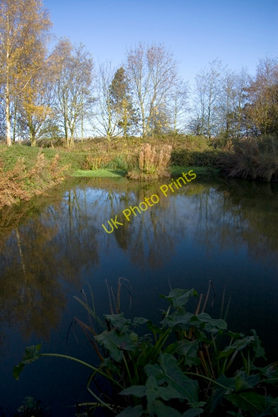 Photo 6"x4" Pond near Preston (E Yorks) Lelley c2009