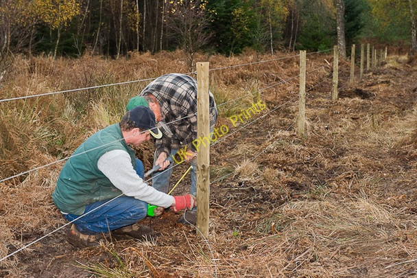 Photo 6"x4" Warwickslade Cutting: refencing Poundhill Inclosure Bank\/SU2807 c2009