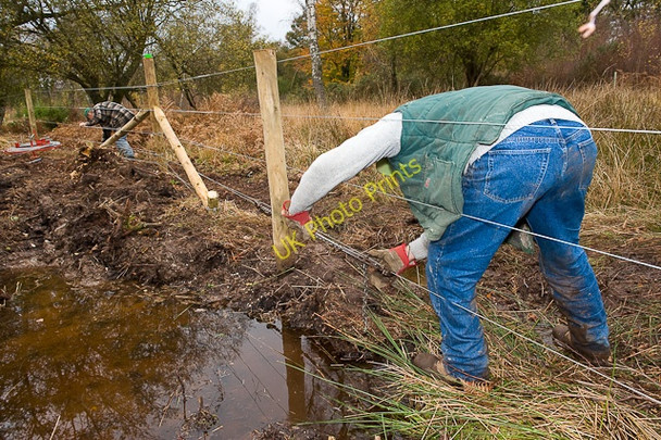 Photo 6"x4" Warwickslade Cutting: refencing Poundhill Inclosure Bank\/SU2807 c2009 P2