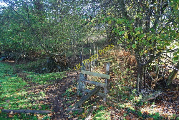 Photo 6"x4" Stile off Powdermill Lane Battle\/TQ7416 c2009