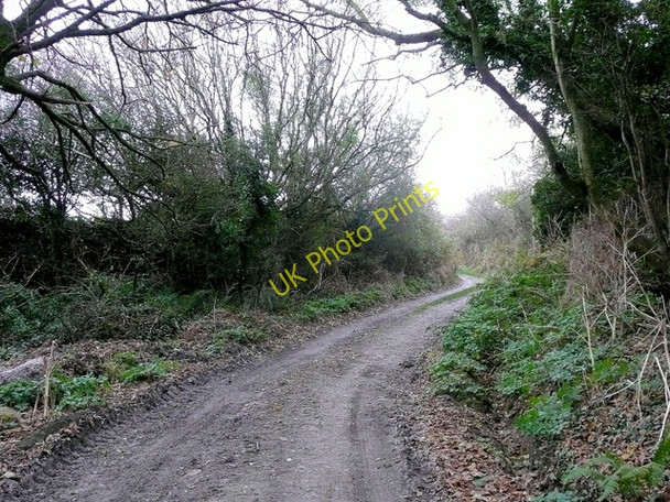 Photo 6"x4" Track from the farm Gwbert c2009