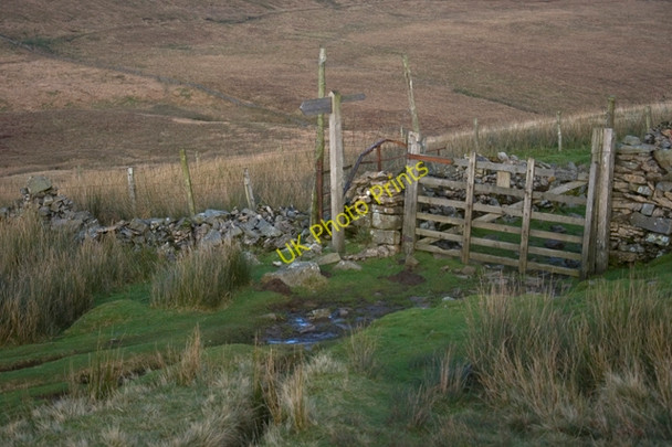 Photo 6"x4" Gate on the Foxup Road Foxup c2009