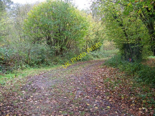 Photo 6"x4" Byway near Hale Hale\/SU1919 c2009