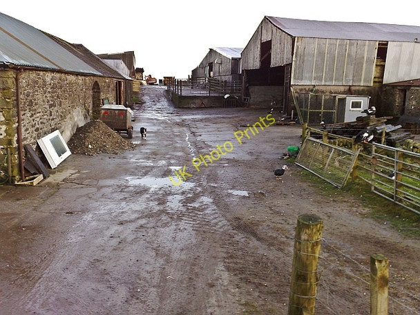 Photo 6"x4" Farmyard at Killocraw Bellochantuy c2009