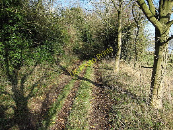 Photo 6"x4" Coldham Bank Friday Bridge c2009