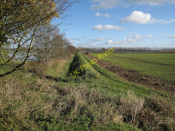 Photo 6"x4" Edge of Maltmas Farm Friday Bridge c2009