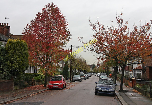 Photo 6"x4" Rosemary Avenue Finchley c2009