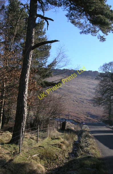 Photo 6"x4" Pine tree and view to Stanage Edge Hathersage c2008