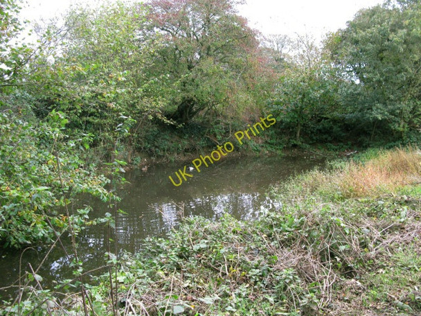 Photo 6"x4" Small pond at edge of road near Arpinge Arpinge c2009
