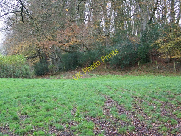 Photo 6"x4" Footpath, Upton Upton\/ST8732 c2009