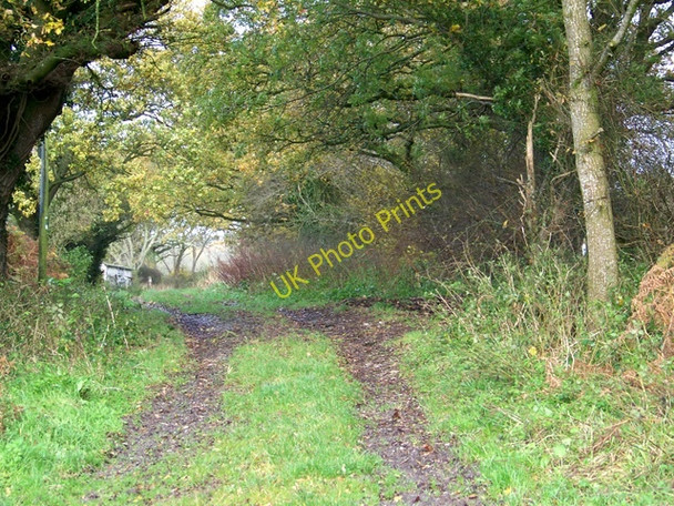 Photo 6"x4" Upton Lane, Underhill Gree c2009