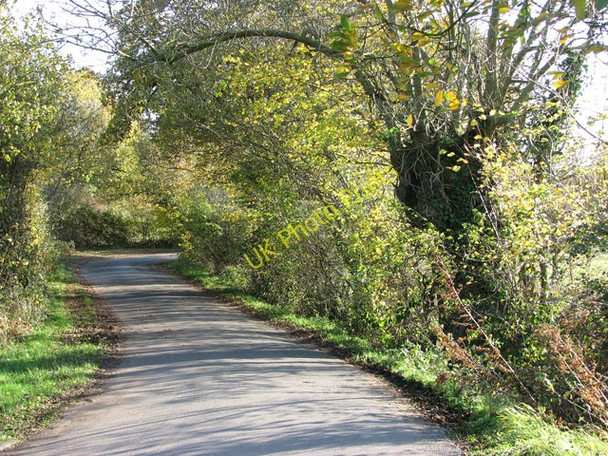 Photo 6"x4" Zig zag bends on Long Lane Bracon Ash c2009