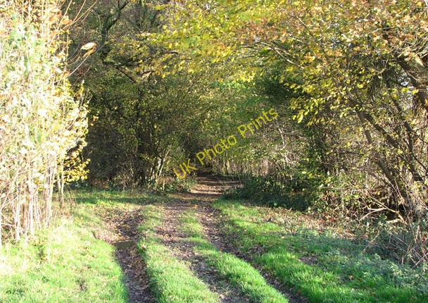 Photo 6"x4" Approaching Sprow's Pits Swainsthorpe c2009