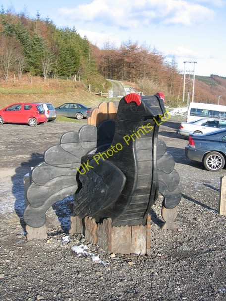 Photo 6"x4" Black Grouse at Bwlch pen Barras Gyrn\/SJ1658 c2007