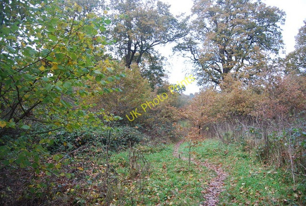 Photo 6"x4" Footpath in Groombridge Place Park Birchden c2009