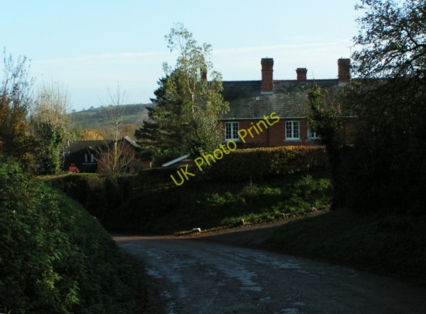Photo 6"x4" House on the lane to Bradninch Beare\/SS9800 c2009