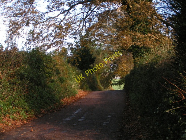Photo 6"x4" Lane to Bradninch Ellerhayes c2009