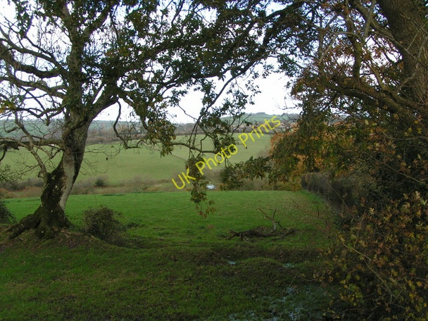 Photo 6"x4" Fields near Langford Langford\/ST0202 c2009