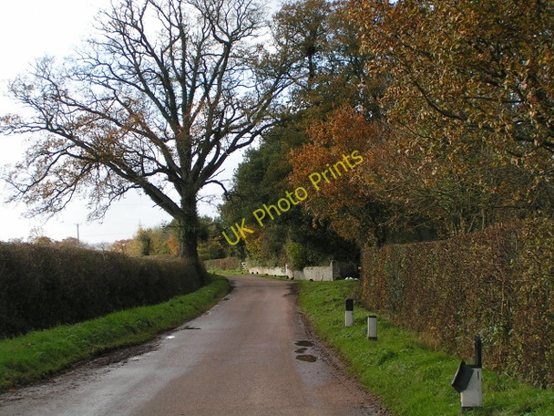 Photo 6"x4" Lane passing Newlands farm Higher Burrowtown c2009