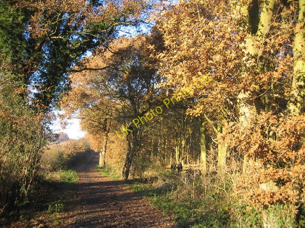 Photo 6"x4" Burlish Top nature reserve Stourport-on-Severn c2005