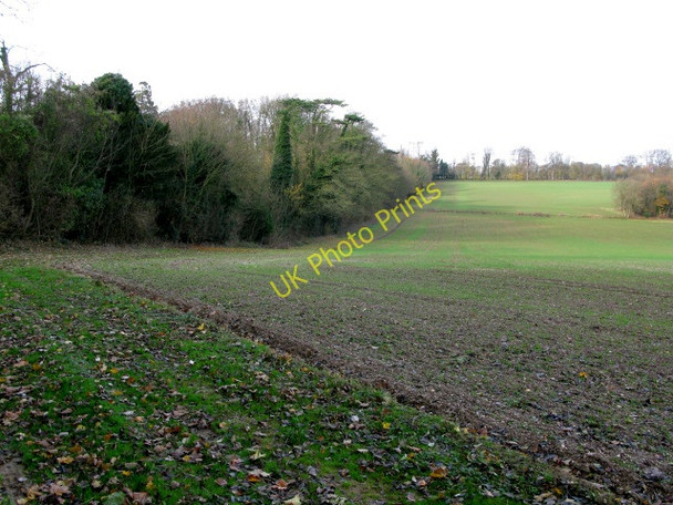 Photo 6"x4" Footpath along field boundary Ashley\/TR3048 c2009