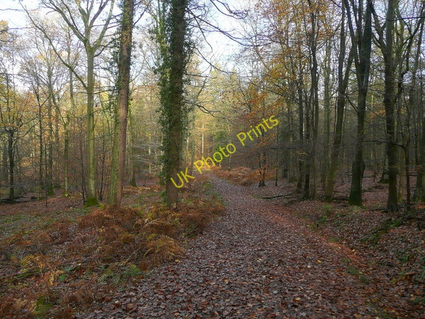 Photo 6"x4" The Gloucestershire Way Cinderford c2009