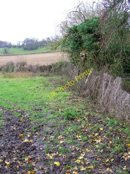 Photo 6"x4" Footpath near Mildenhall Mildenhall\/SU2069 c2009