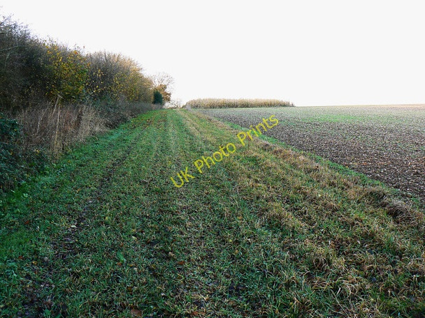 Photo 6"x4" Footpath to Collingbourne Kingston Collingbourne Kingston c2009