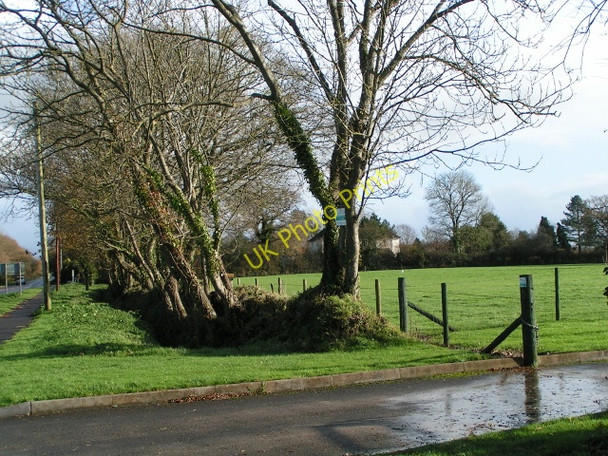 Photo 6"x4" Field next to A3052, east of the White Horse Inn Nine Oaks c2009
