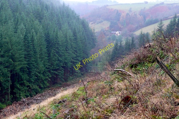 Photo 6"x4" Cwm Ffrydd Churchtown\/SO2687 c2009 P1