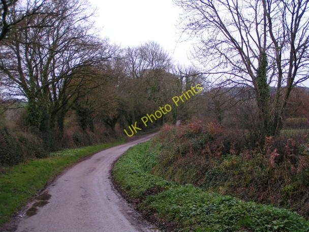 Photo 6"x4" Lane from the old railway bridge to the canal bridge Manley\/SS9811 c2009
