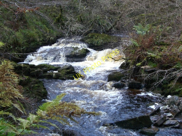 Photo 6"x4" Golspie Burn Backies\/NC8302 c2009