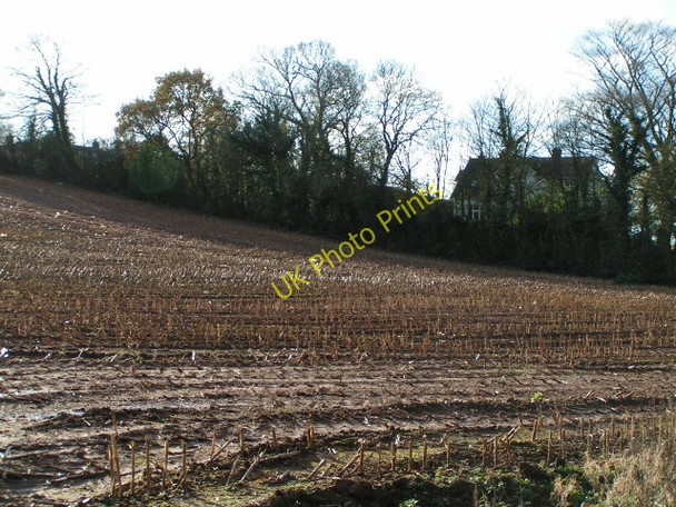 Photo 6"x4" Stubbly field and a house Ebford c2009