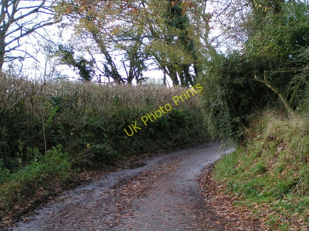 Photo 6"x4" Lane heading towards Woodbury Salterton Woodbury\/SY0187 c2009