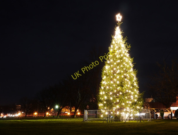 Photo 6"x4" Christmas Tree, Bangor Bangor\/J5081 c2009