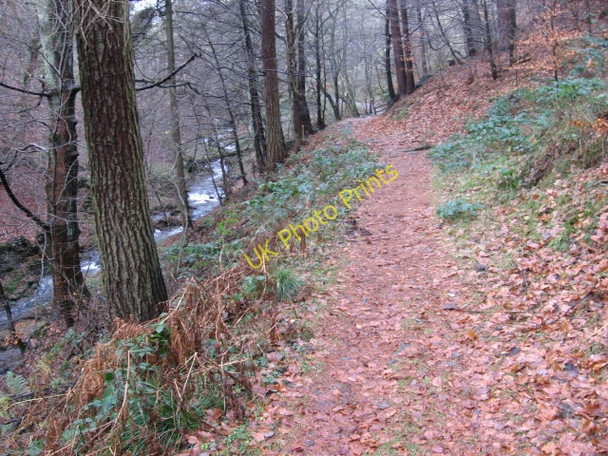 Photo 6"x4" Footpath in Abney Clough Abney c2009