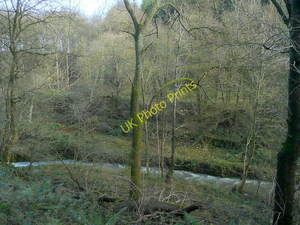 Photo 6"x4" Soudley Brook 2 Upper Soudley c2009