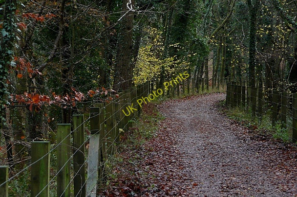 Photo 6"x4" Former railway line Ruspidge c2009