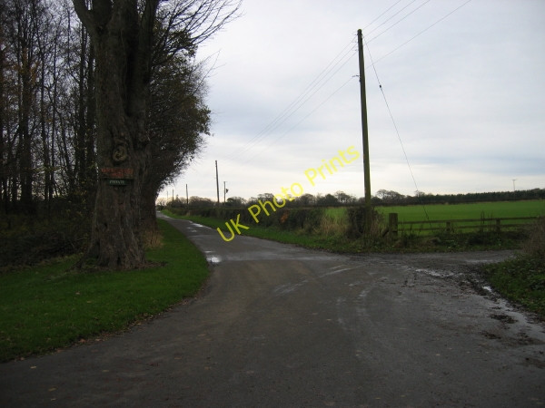 Photo 6"x4" Drive leading to Smithy Cottage and Red Stead Littlehoughton c2009