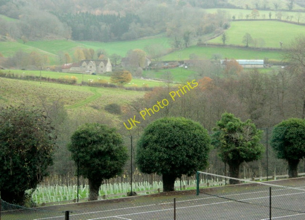 Photo 6"x4" 2009 : Is this St. Catherine's Court? St Catherine c2009
