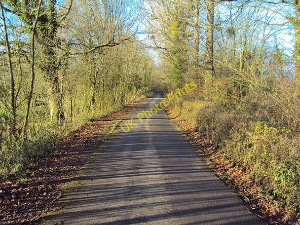 Photo 6"x4" Lane to Brotheridge Green - 2 Church End\/SO8341 c2009