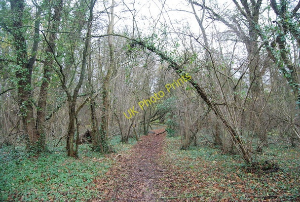 Photo 6"x4" Footpath in Poer Meadow Shaw Bearsted c2009