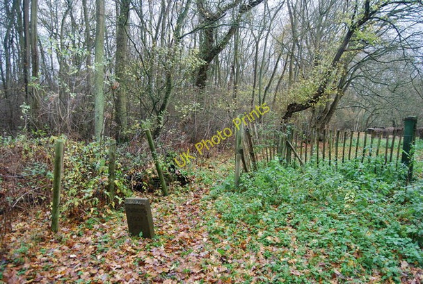 Photo 6"x4" Footpath off Crismill Lane into Poer Meadow Shaw Bearsted c2009